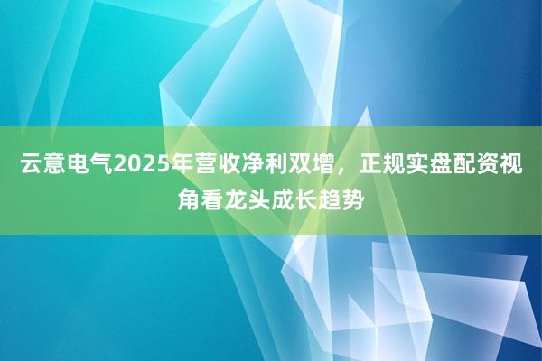 云意电气2025年营收净利双增,正规实盘配资视角看龙头成长趋势