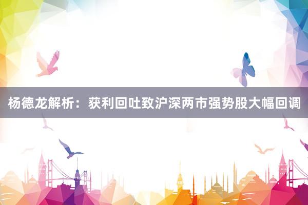 杨德龙解析：获利回吐致沪深两市强势股大幅回调