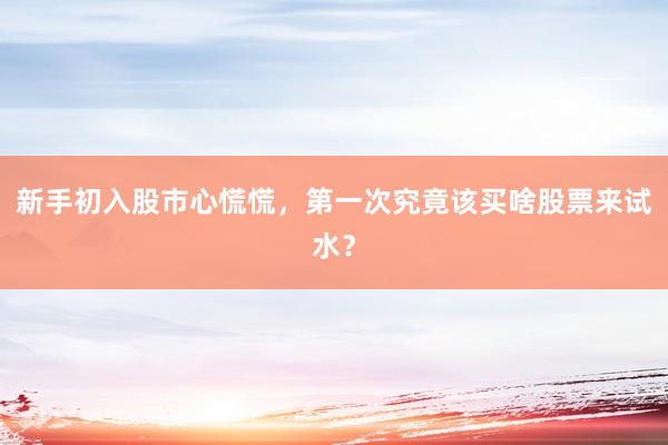 新手初入股市心慌慌,第一次究竟该买啥股票来试水?