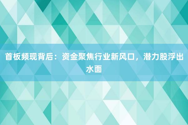 首板频现背后:资金聚焦行业新风口,潜力股浮出水面