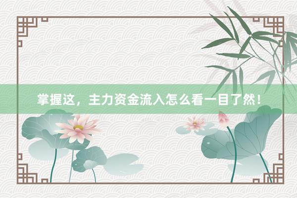 掌握这，主力资金流入怎么看一目了然！