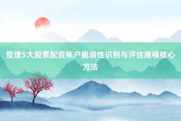 整理5大股票配资账户脆弱性识别与评估建模核心方法