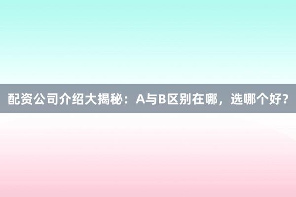 配资公司介绍大揭秘:A与B区别在哪,选哪个好?